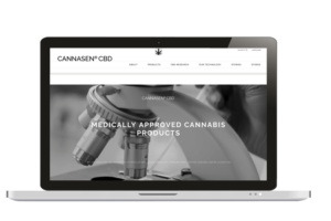 labtop cannasen 4