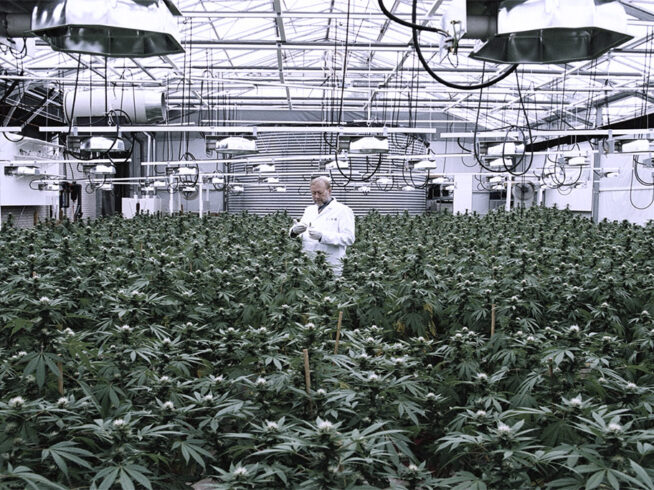 farming