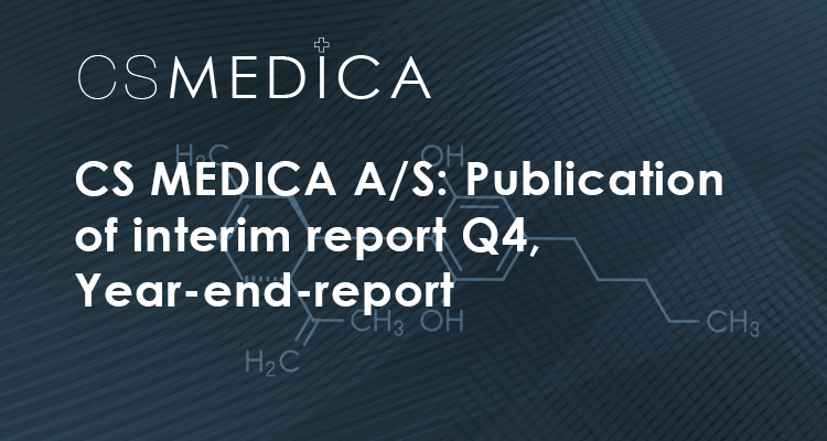 22 11 18 year end report